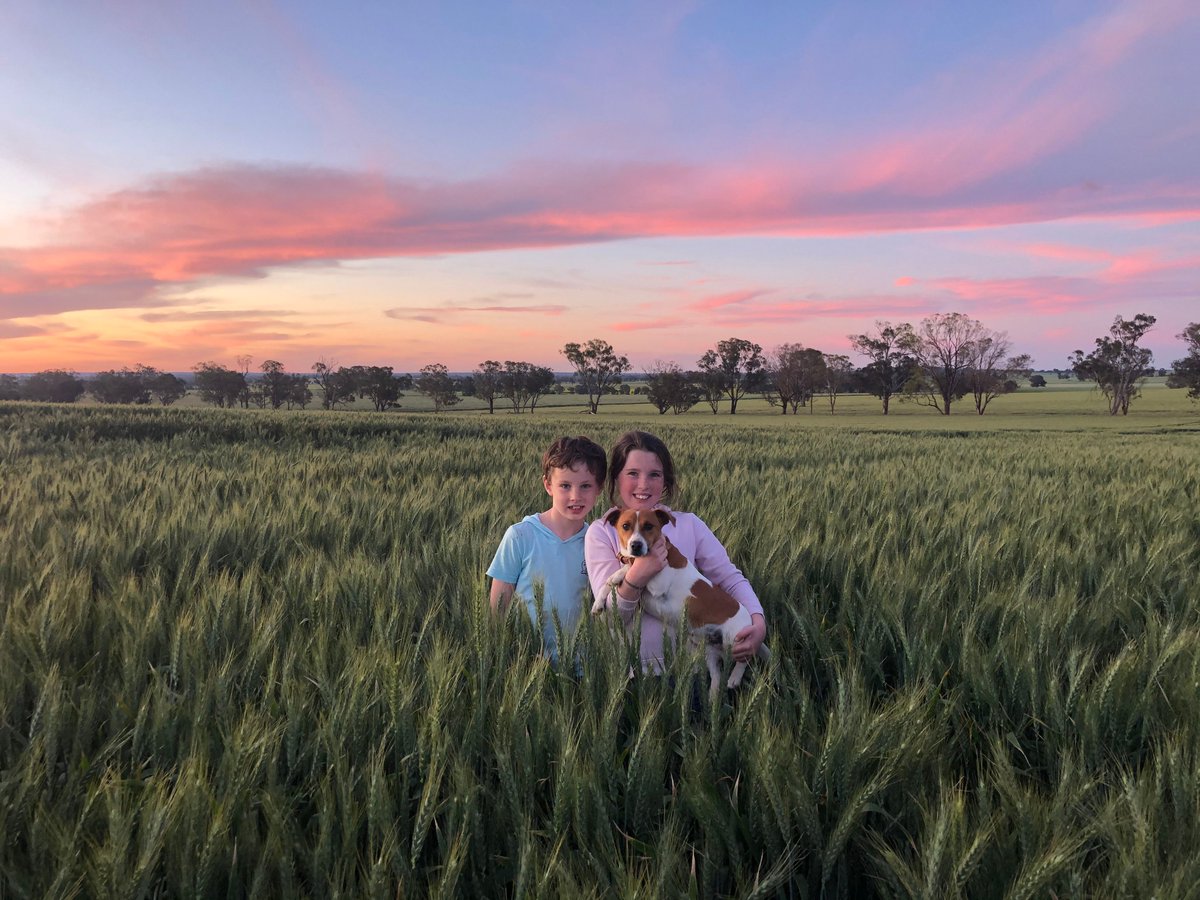 🐰 Happy Easter to all our growers and their families! Even through this busy period, we hope you get some time to unwind and relax with your loved ones! (and enjoy some hot cross buns made with Aussie grains!) 📷 Leigh Eulenstein, NSW