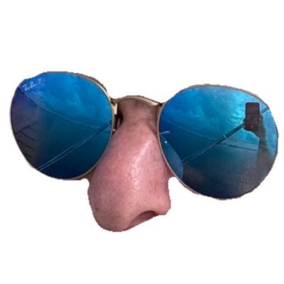 Sundar78100's tweet image. @machibigbrother Our Nose community is the best community ever🚀🚀. Please check it out when you have time.

@gary_blaz  @Vignesh14907286 @sensei_broken

#CommunityNode #Solana