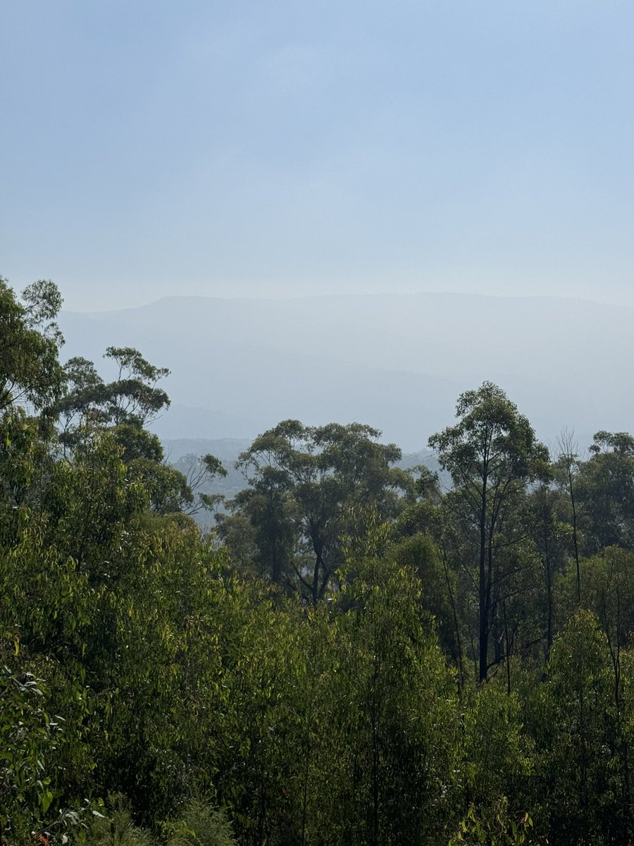 Smokey views on todays hike