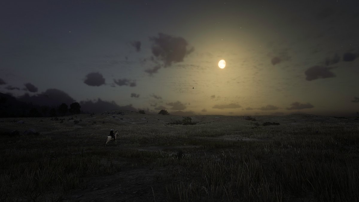 ClearstreamPFLR's tweet photo. John Marston #Johnmarston #ReadDeadRedmption #RedDeadRedemption2 #RDR2Adventures #screenshot #screenshots #VirtualPhotography https://t.co/s52r4HMvUH