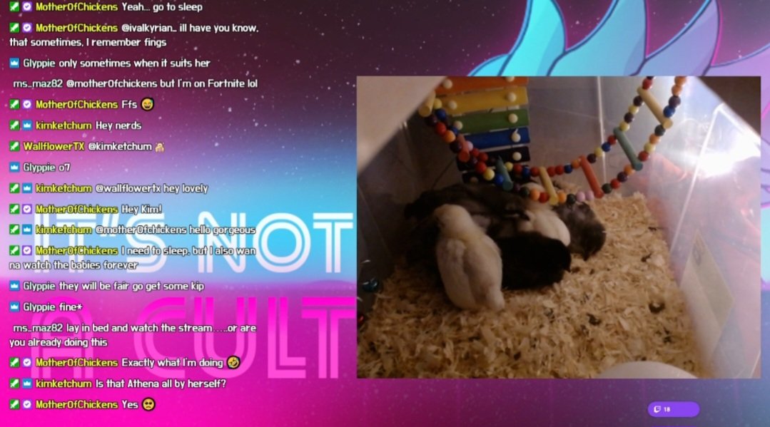 MthrOfChkns's tweet photo. The new channel is up and running!!
Gonna be fine tuning things over the next few days, but... LOOK!!!
THEYRE SO FLOOFY!
Link in comments ❤️ https://t.co/223ZzfpKhj