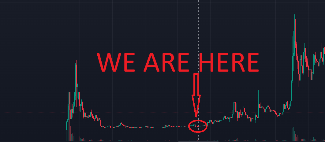Are you stacked up with $Cipher and ready for a wild ride?