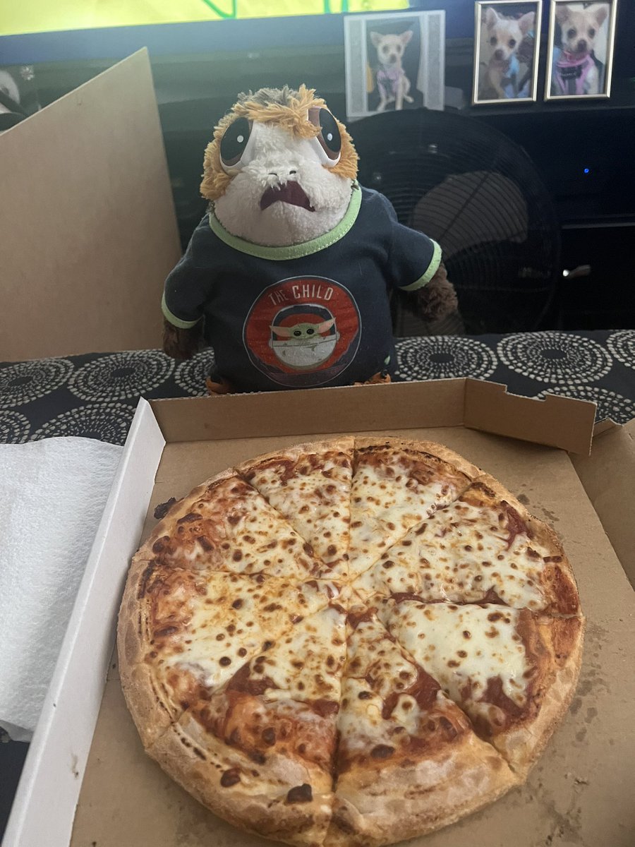 In what can only be an Easter miracle Hooman got us Pizza! This is the first time we have had this since December. I am in heaven! #porgs #porgsoftwitter #porg #tatertotsquad