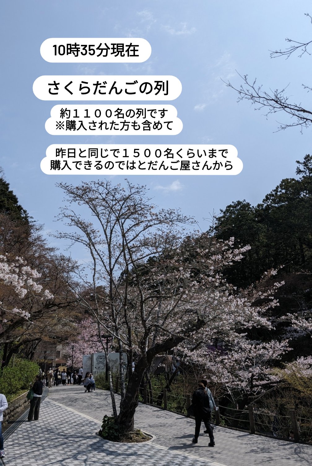 法多山 on X: 