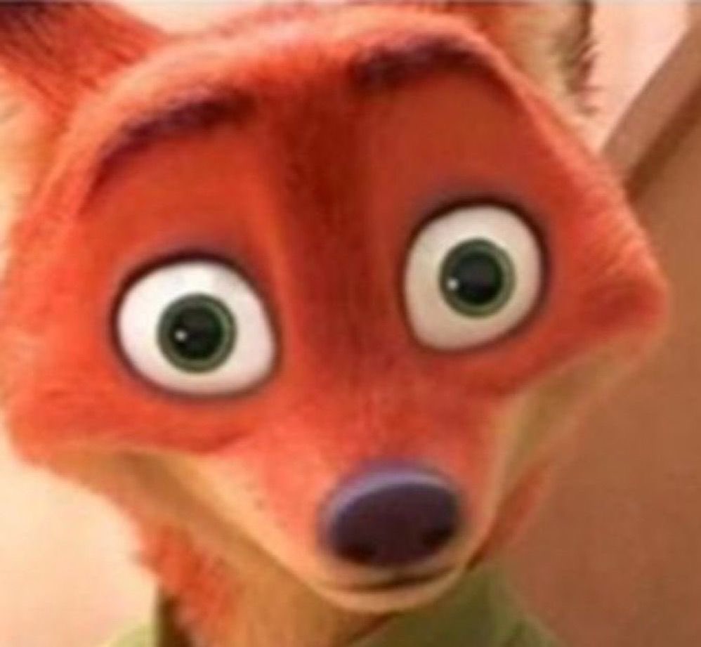 Emma Norton tweet media