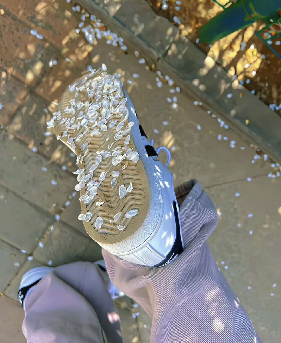 #보령 #대천동 벚꽃도 보고 벗는것도 보고~!