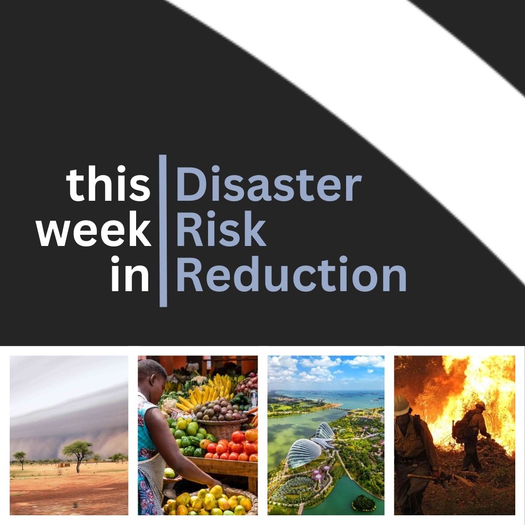 📢 Catch up on this week's disaster risk reduction news and research, expertly selected by the #PreventionWeb editorial team. Read this weekly newsletter on LinkedIn: while you're there, like, follow & subscribe! ➡️ linkedin.com/pulse/preventi…