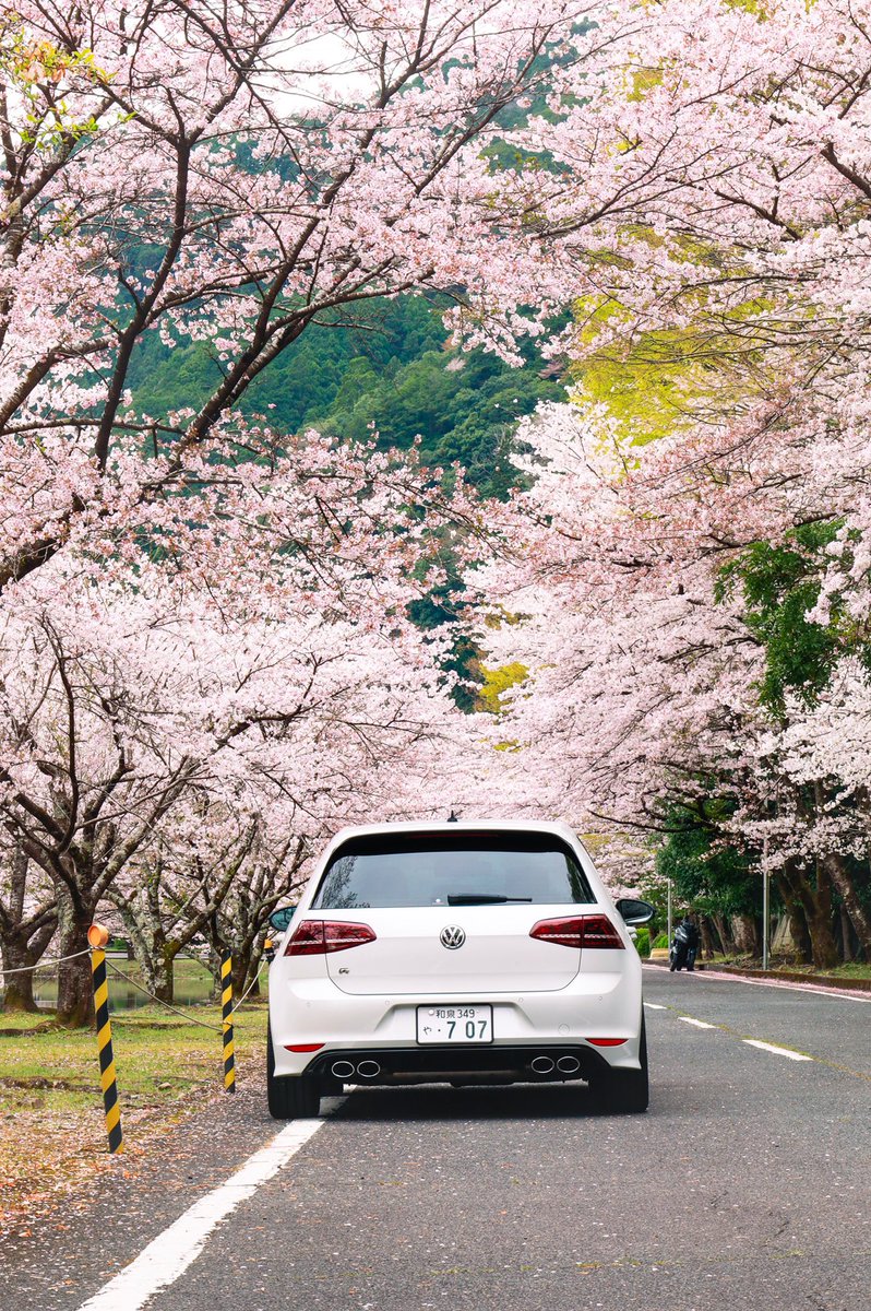 ちょうど1年前 🌸