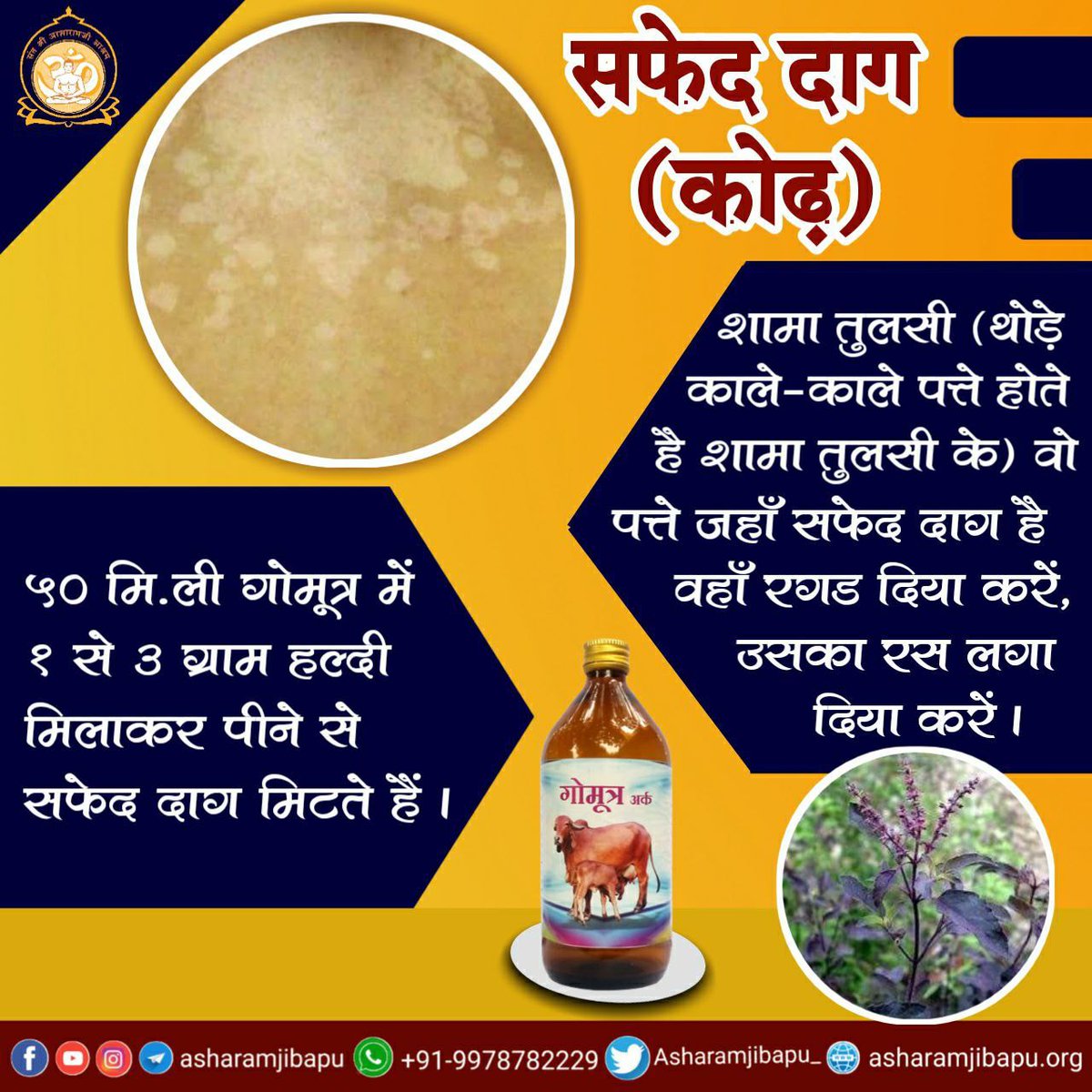 Sant Shri Asharamji Bapu ने Ayurveda के दिव्य रहस्यों के जन-जन में प्रचार-प्रसार के साथ आश्रम द्वारा इस Gift Of Nature से बहुउपयोगी औषधियों का निर्माण बड़े स्तर पर करवाया जैसे गोझरण वटी, निरापद वटी, रसायन चूर्ण आदि।
वे आज #HealthyLiving के लिए सरल व प्रभावी उपाय सिद्ध हो रहे हैं।