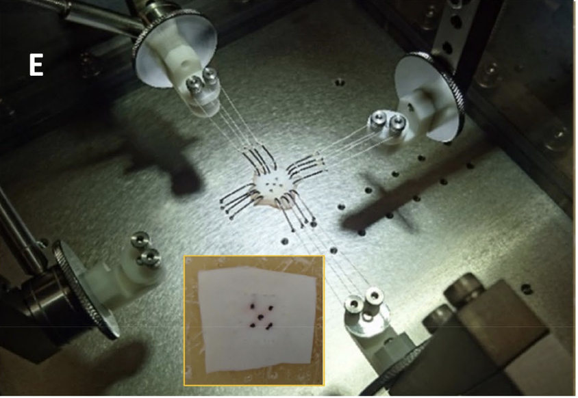 The article 'Mechanical characterization and torsional buckling of pediatric cardiovascular materials' written by Prof. Kerem Pekkan, Department of Mechanical Engineering, and his team, tested the twist or buckle type movements of different materials that can be used during…