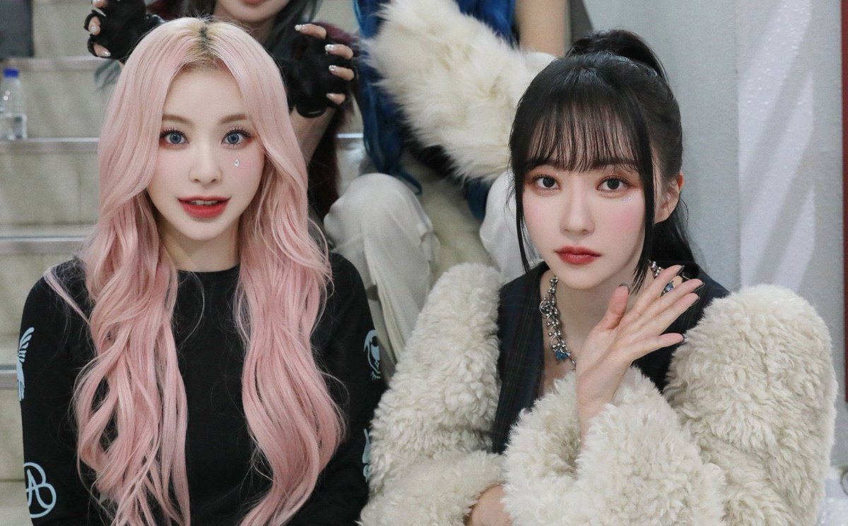 🐥🦊 tweet media