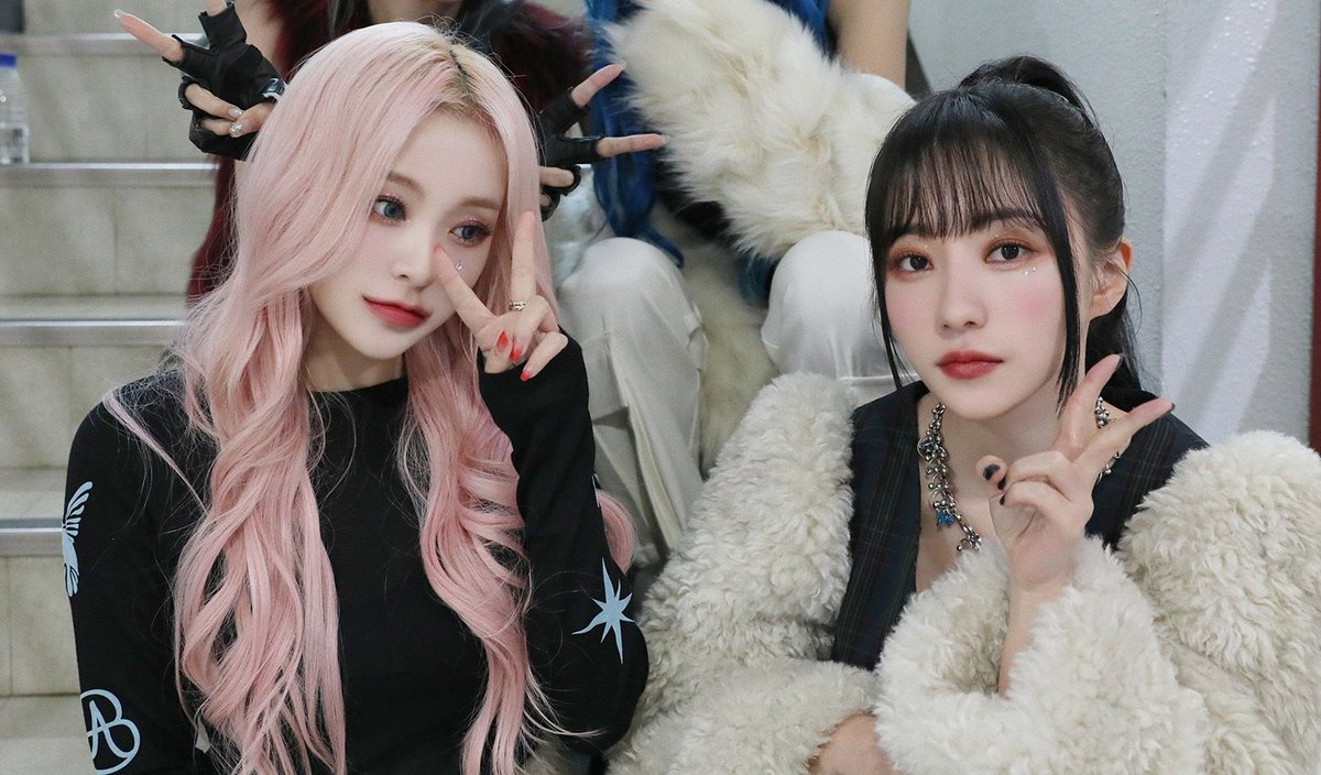 🐥🦊 tweet media
