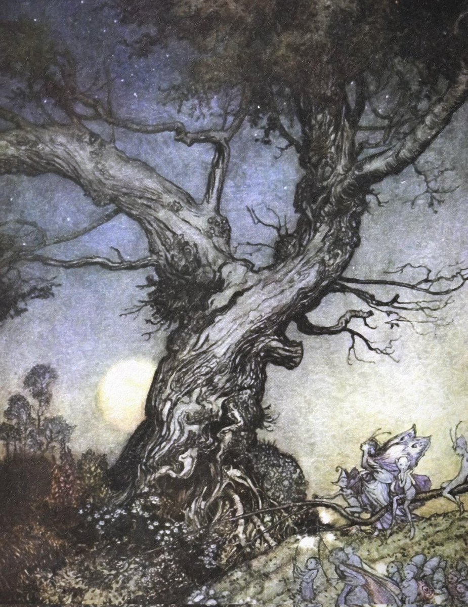BardCumberland's tweet photo. In Cumbrian dialect, 'bullister' is blackthorn/ sloe

Beware of 'faerie justice', never cut down a blackthorn tree, or faeries will burn down your house! 

#FairytaleTuesday #Cumbria
#illustration Arthur Rackham https://t.co/8IfyC9vU4f