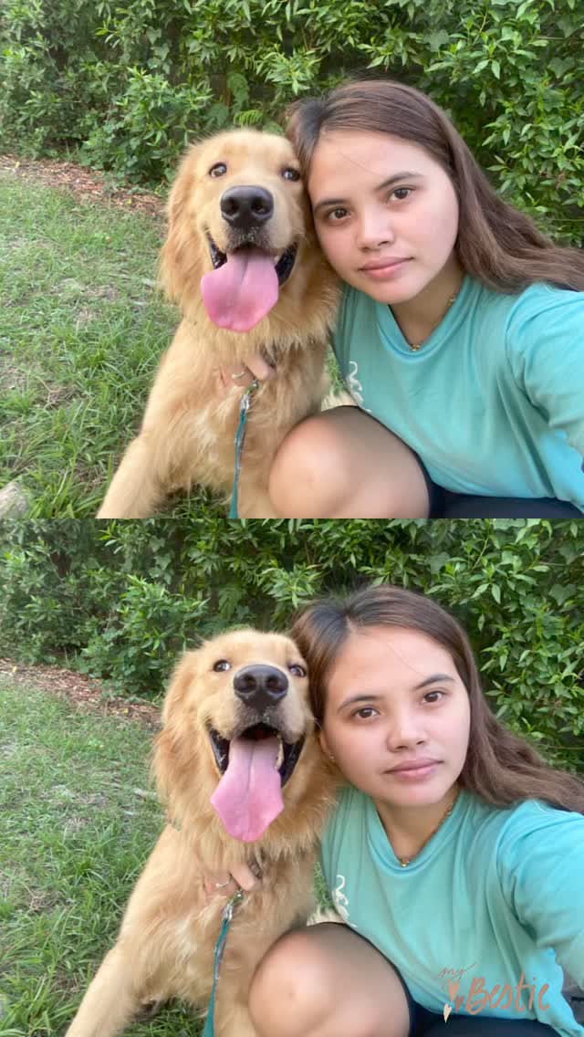 AmazingAloha13's tweet photo. This is my baby Toby. It saddens me that another helpless furbaby was beaten to death. Golden retrievers are playful, lovable, gentle, and sweet. They are big dogs but not harmful ‼️

#JusticeforKillua
#notoanimalcruelty https://t.co/lXKGzPOYEP