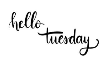 Good morning.. may your day be full of laughter love and precious moments 🫶🏼🕊️🌷🫶🏼🕊️🌷🫶🏼🕊️🌷🫶🏼🕊️