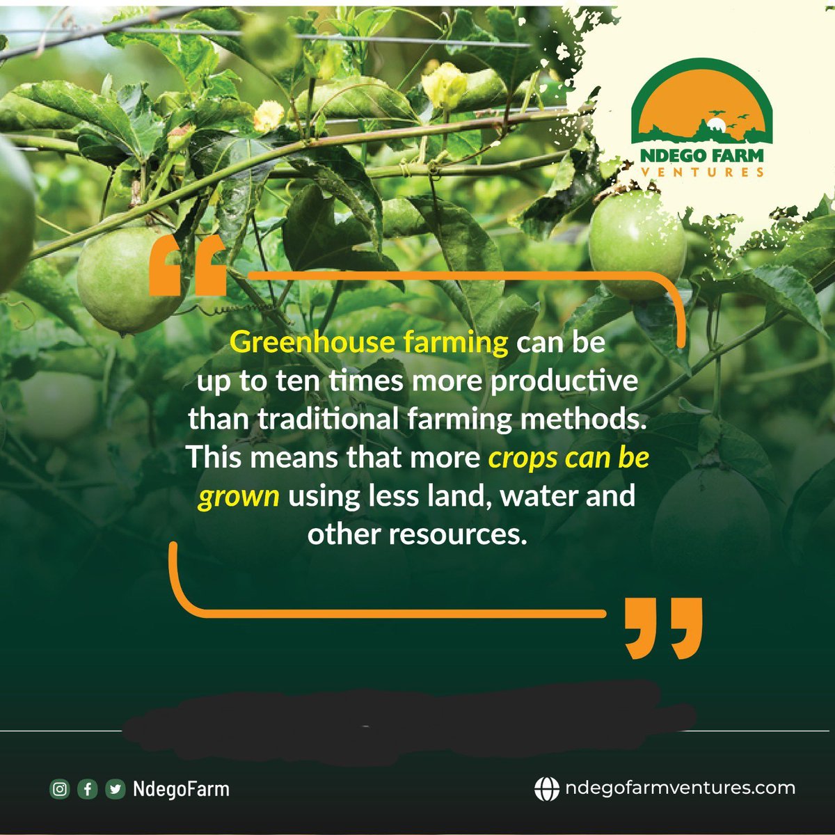 Studies suggest that profits per crop per sqm can be increased when executing #greenhousefarming instead of open-field agriculture. By utilizing resources more efficiently, you create less waste, which can translate into bigger profits. #RwOT #sustainableagriculture #agribusiness