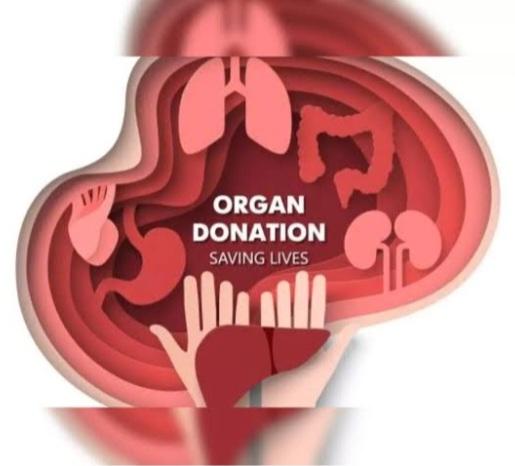 #DonateOrgans
Don't  take your organs to haven, haven knows we need them here.
Kidney Donar can be selected on the basis of HLA matching.
HLA Matching Grades
▪︎Siblings
▪︎Parents
▪︎Spouse
▪︎Voluntry
dir@notto.nic.in
@NottoIndia
