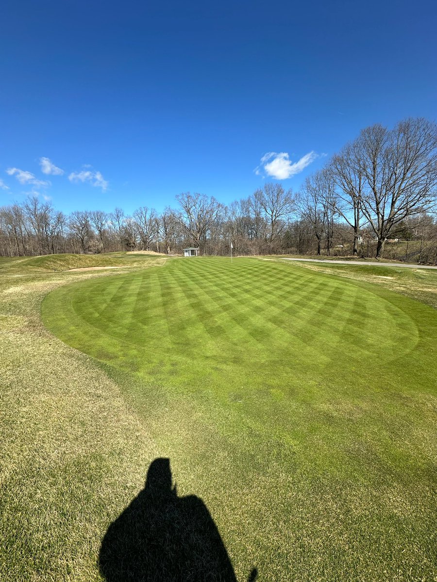 Hickories and Links tweet media