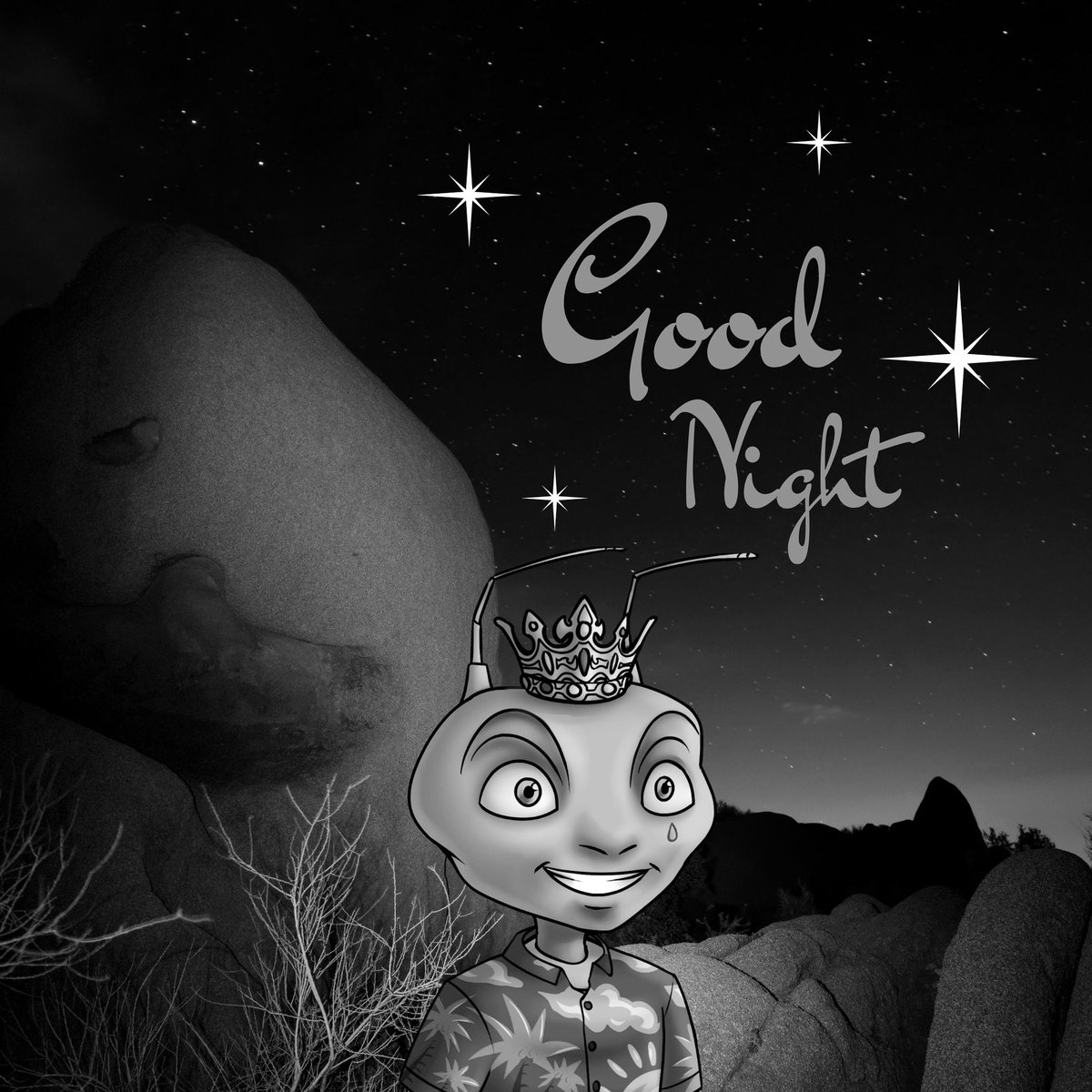 Gn frens ✨ sweet dreams