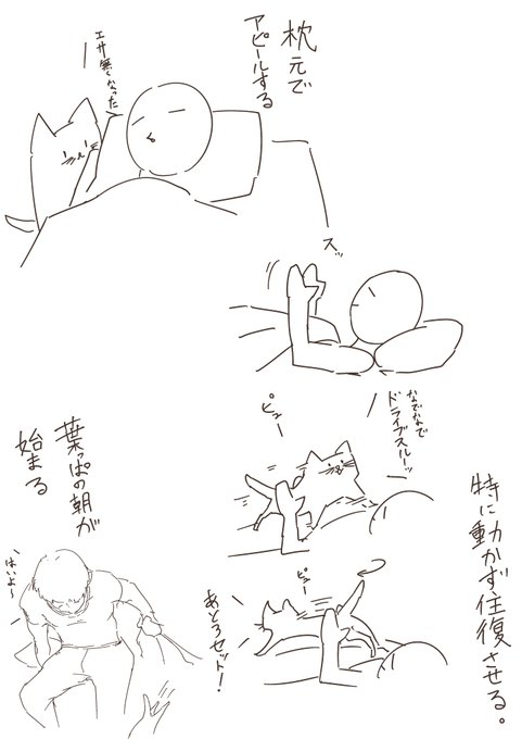 うちの猫の可愛いとこ 