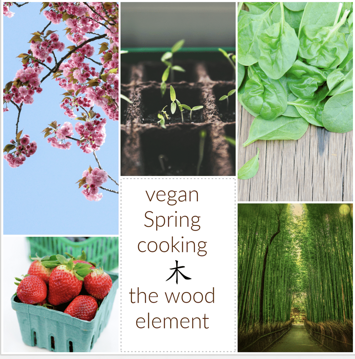 FansHealth's tweet photo. Vegan Spring Cooking: Tips &amp; Recipes for the Wood Element https://t.co/b8PZ1CUQCu https://t.co/QroFtPnZZE