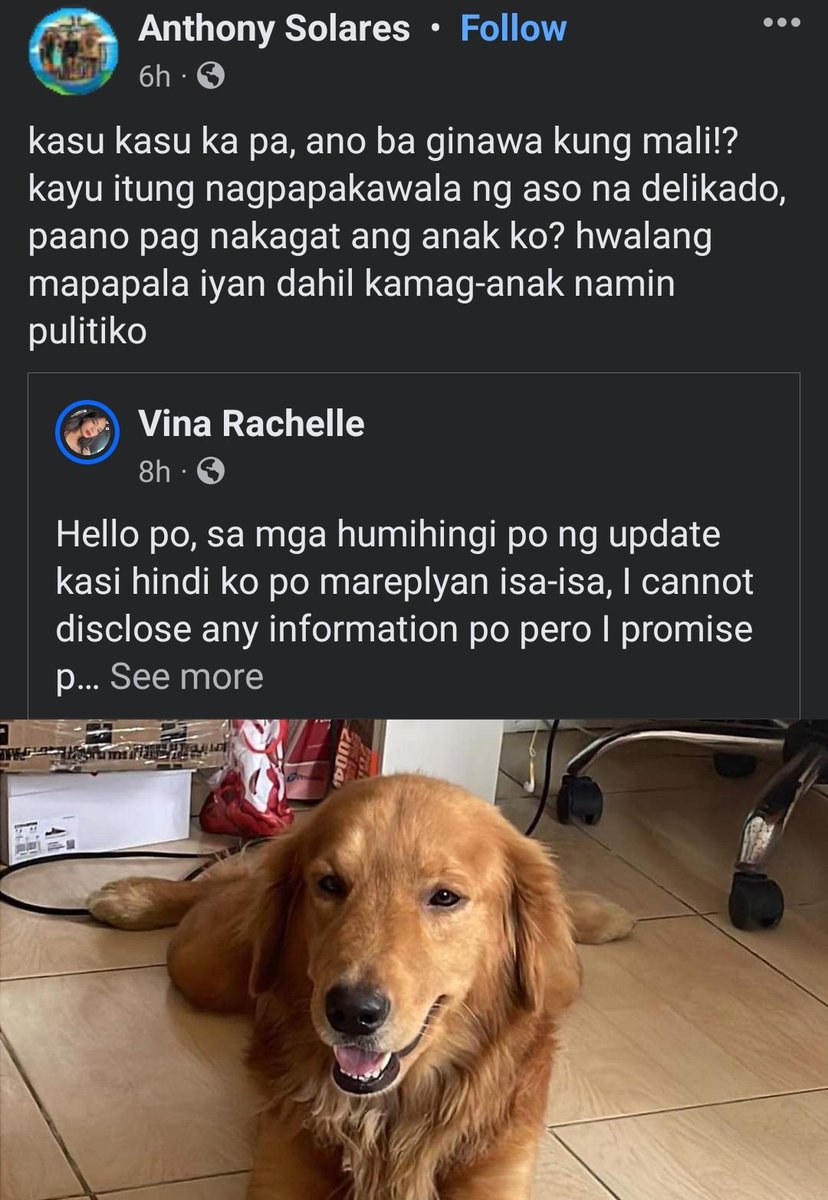 twnty_three's tweet photo. Believe me or not, Golden retrievers are one of the most gentle and sweetest dogs, specially for kids. Not because dogs can't talk, and cannot defend themselves, it doesn't mean we treat them this way. This little giant doesn't deserve this! #JusticeforKillua https://t.co/cG79Qk9mDG