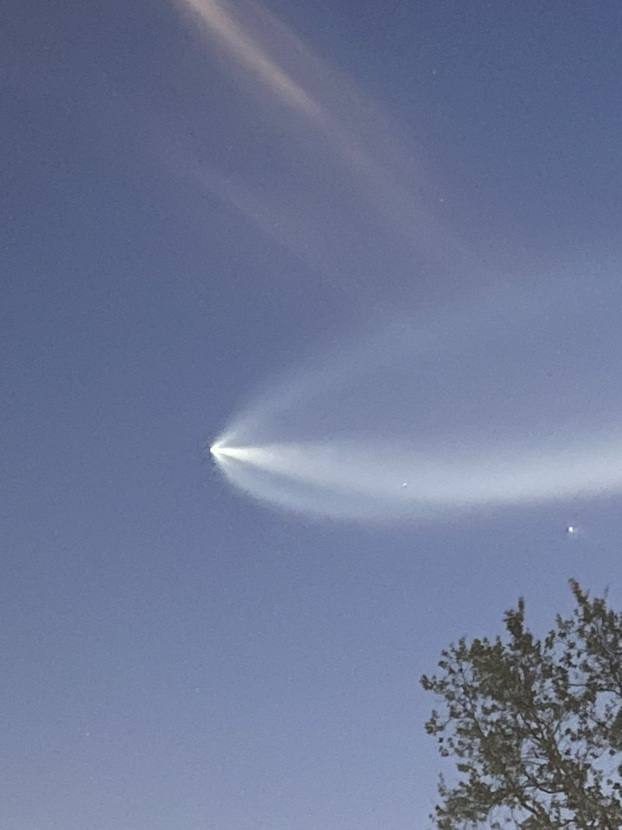 Sara Seager tweet media