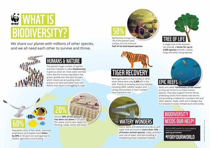 Biodiversity is crucial to the future of all life on the planet and is fundamental to sustainable development. 🌎🌿

learn about #biodiversity through this <a href="/WWF/">WWF</a>  infographic 👇