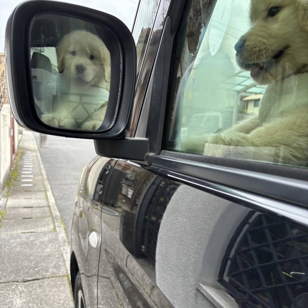 นิมันทางไปวัดนินา แม่ ･̆⍛･̆