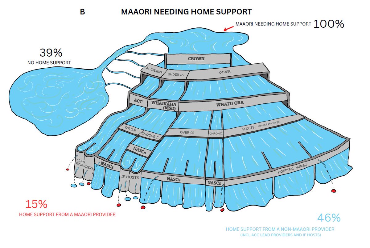 KohaoTe's tweet photo. #WAI2575 
Why then do only 12% of Māori clients via @Whaikaha receive home support from a Māori provider? Originally we thought it was 15% but an OIA has revealed an even lower figure. Structurally there is a serious issue here. #HealthSystemInequity https://t.co/RLr1ltq13O