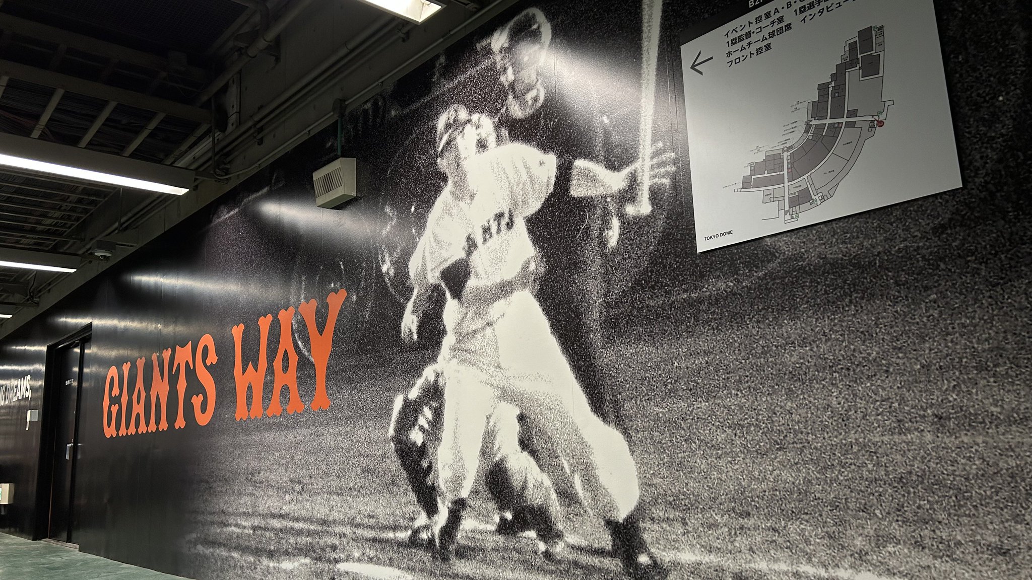 読売巨人軍（ジャイアンツ） on X: 