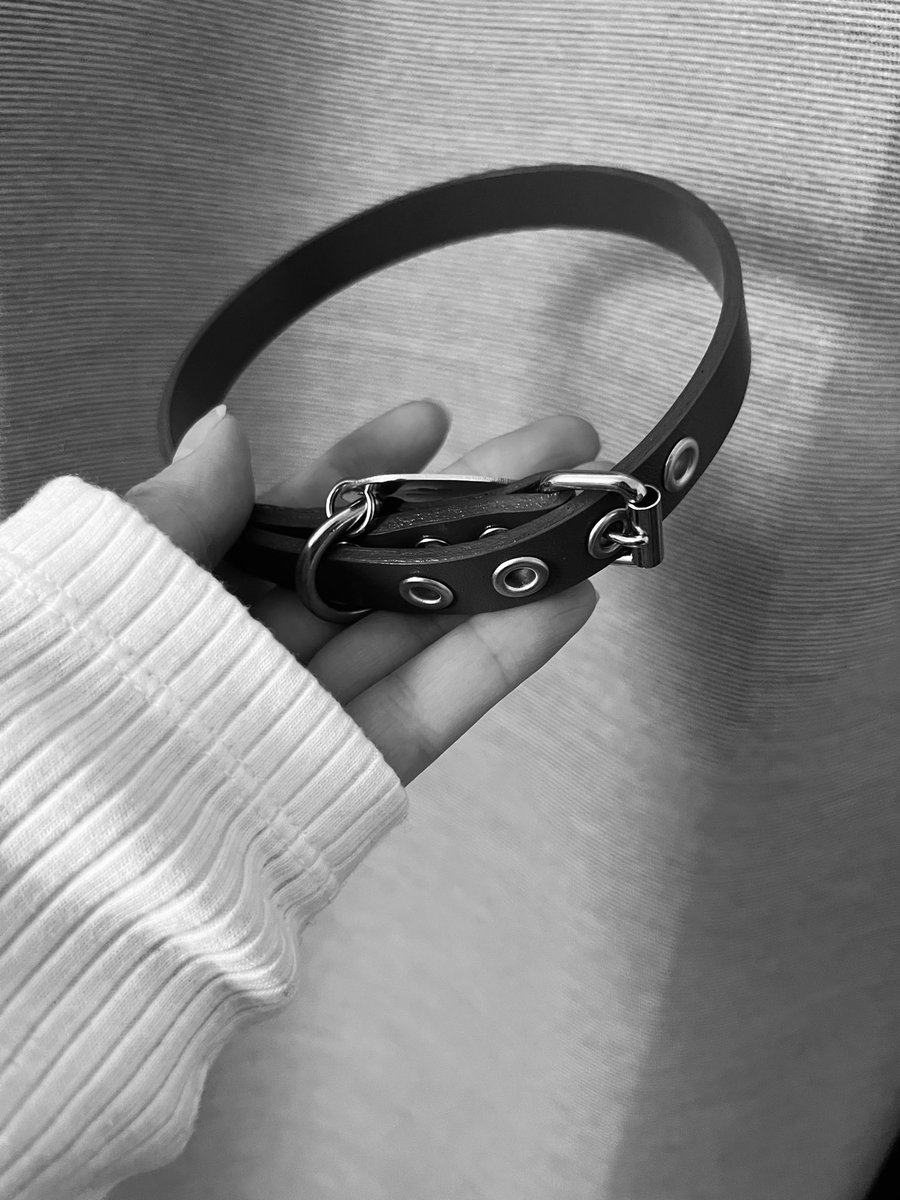 candy_raindrop_'s tweet photo. 週末に素敵なお届け物。
首輪の色とナンバリングの数字に不思議なご縁を感じました♩

#自撮り100人首輪展 https://t.co/E608ns14Av