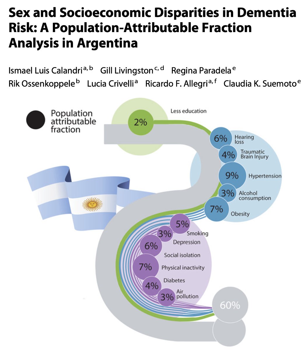 🚨 NEW: @IsmaelLCalandri shows that Argentina has a higher population-attributable fraction (PAF) for dementia + different risk factor weights vs worldwide estimates. PDF: karger.com/ned/article/do… w/@Gill_Livingston @reparadela @luCrivelliOk @NeuroAllegri @clausuemoto