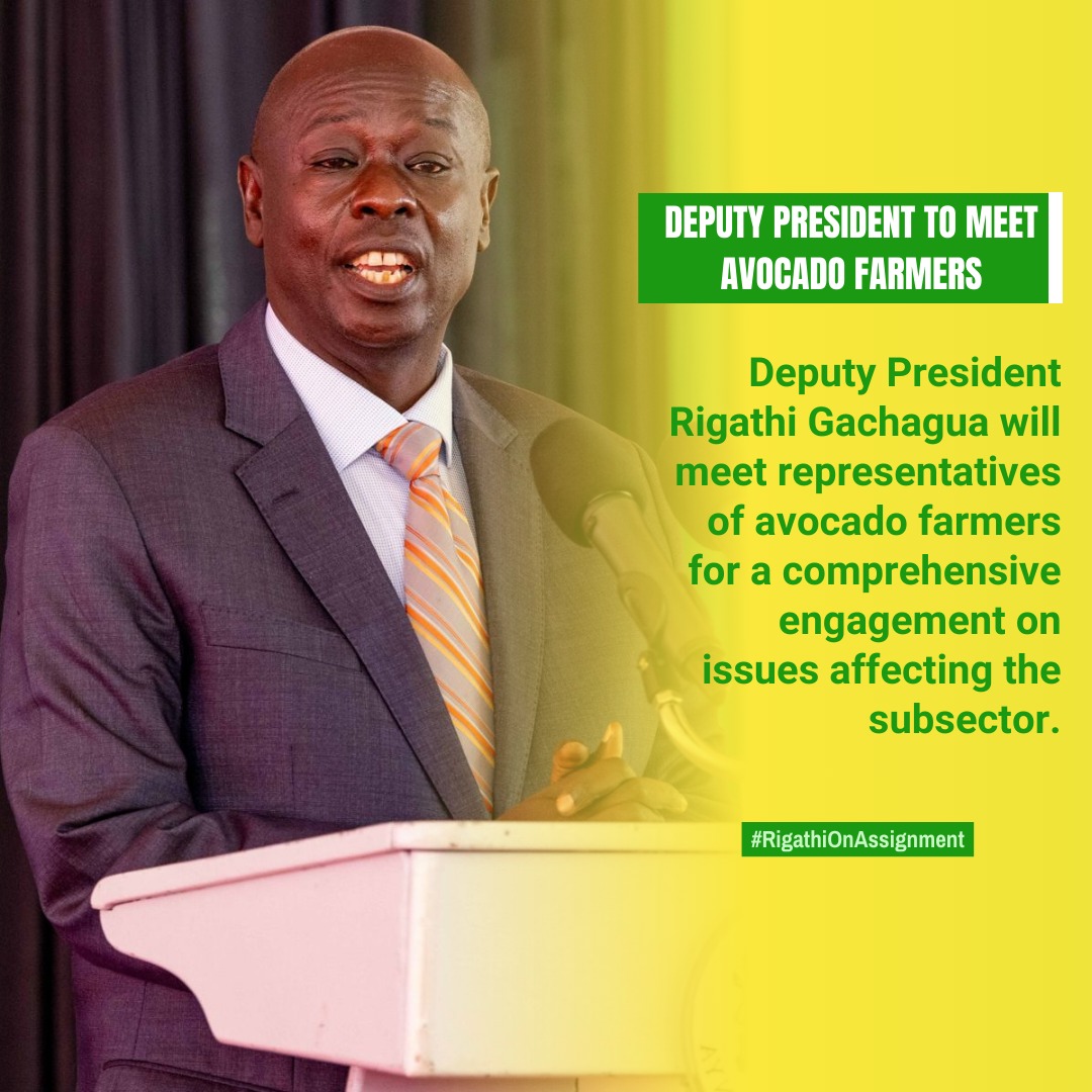 Deputy President Rigathi Gachagua Meeting representatives of avocado Farmers to expound on issues affecting sub sector from prices to Market connectivity.
DP Rigathi Avocado
#AvocadoMeetsRiggyG