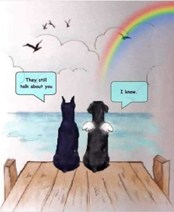 Dalbodog's tweet photo. Always in our Hearts https://t.co/ka6HTd5TnA