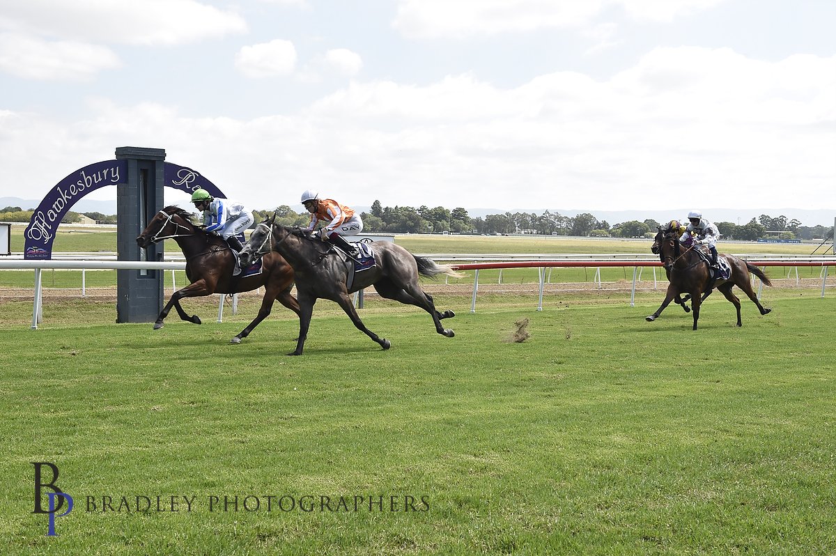 Hawkesbury Race Club (@hawkesburyrc) on Twitter photo Race 2 Provincial Maiden HCP 1100m was taken out by Hell Of A Show <a href="/kbuchananracing/">Kristen Buchanan</a> and <a href="/VardyTbreds/">Vardy Thoroughbreds</a> with <a href="/AnnaRoper_/">Anna Roper</a> aboard!
Images <a href="/Bradley_Photos/">Bradley Photos</a> Race 2 Provincial Maiden HCP 1100m was taken out by Hell Of A Show <a href="/kbuchananracing/">Kristen Buchanan</a> and <a href="/VardyTbreds/">Vardy Thoroughbreds</a> with <a href="/AnnaRoper_/">Anna Roper</a> aboard!
Images <a href="/Bradley_Photos/">Bradley Photos</a>