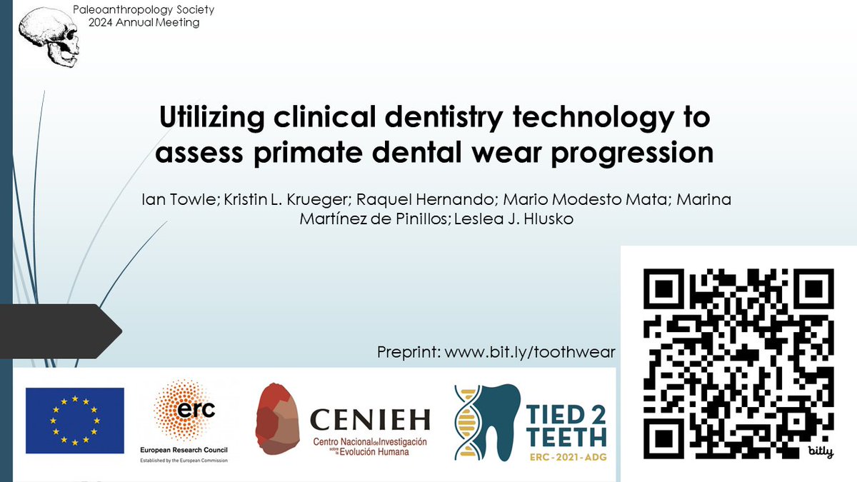 Arrived in LA for #AABA2024 and the Paleoanthropology Society meeting! Looking forward to presenting tomorrow morning on our research assessing tooth wear progression in primates using clinical dentistry technology <a href="/Tied2Teeth/">Tied2Teeth</a> <a href="/LHlusko/">Prof. Leslea J. Hlusko</a>  @AnthroLUC <a href="/Hernando90R/">Raquel Hernando</a>