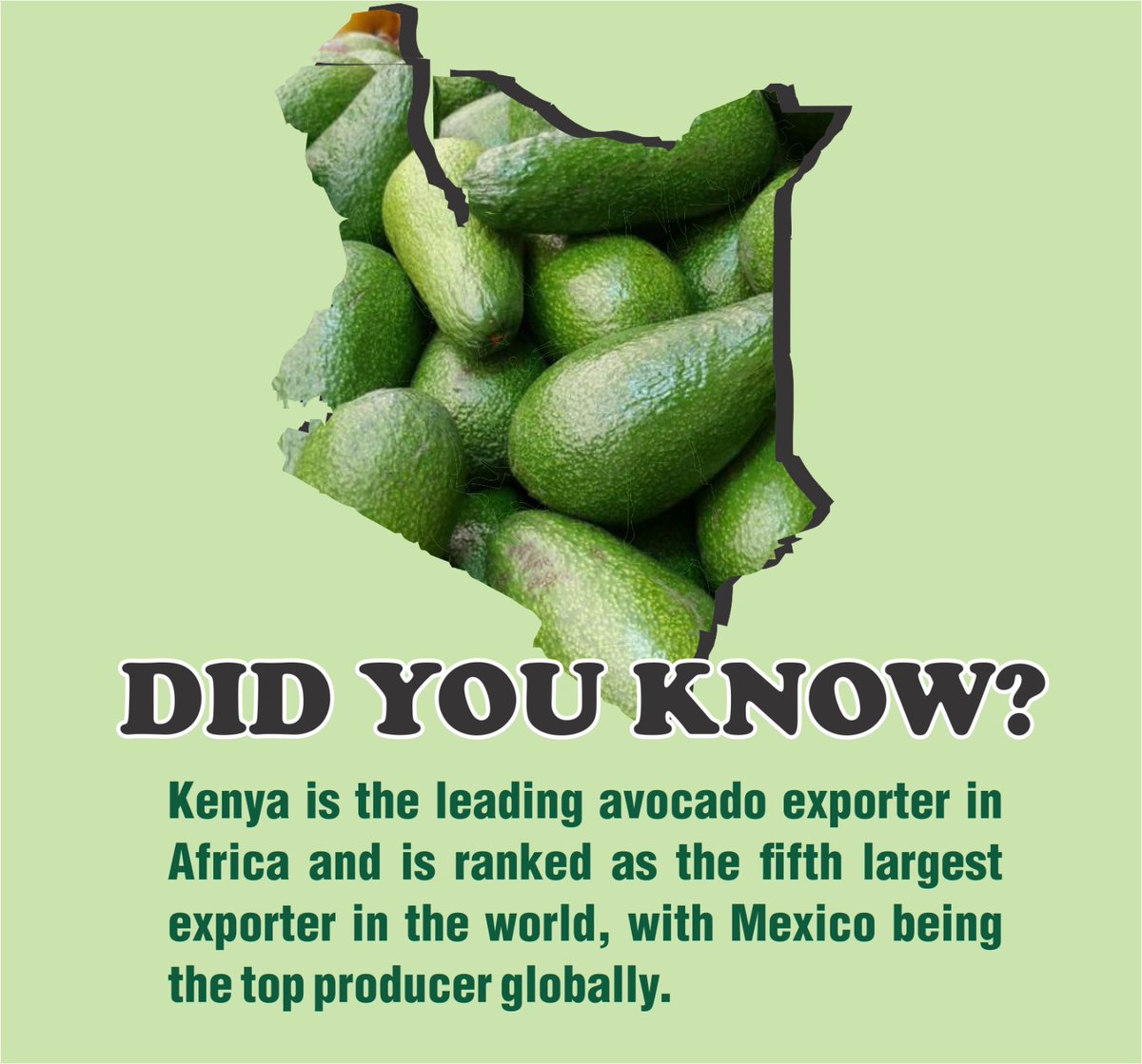 Kenya is the leading avocado exporter in Africa and is ranked as the fifth largest exporter in the world.
#AvocadoMeetsRiggyG 
DP Rigathi Gachagua