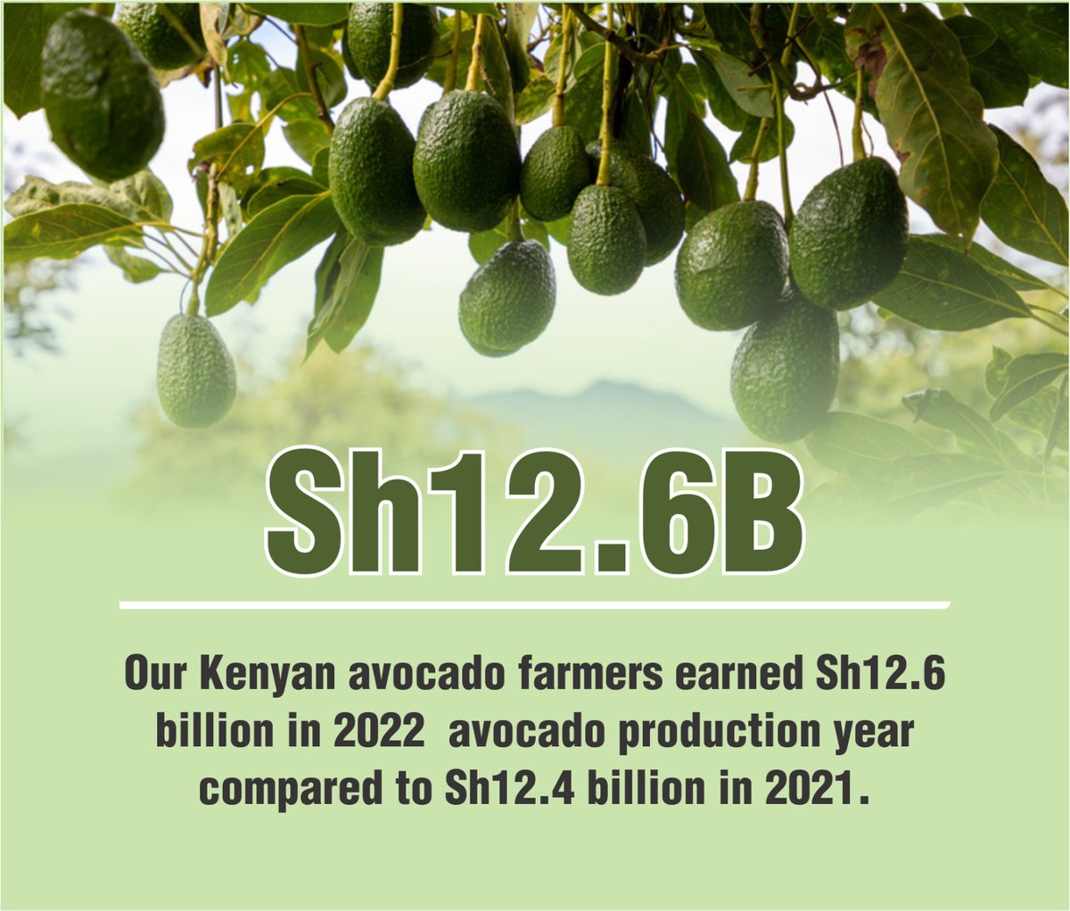 Kenya earned Ksh12.6 billion from avocado exports in 2023, an increase of over 30 per cent from the 2022 earnings.

DP Rigathi Avocado

#AvocadoMeetsRiggyG