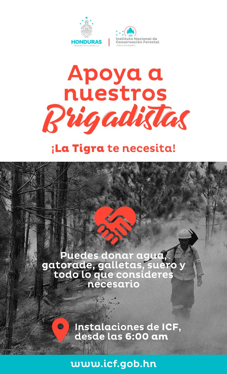🚨¡LA TIGRA TE NECESITA! 🙌🏻

🔴Apoya a los valientes brigadistas que arriesgan sus vidas por nuestra seguridad. Juntos🫱🏻‍🫲🏻, podemos ser la fuerza que protege nuestros bosques.💚🌳

¡Demostremos que los héroes y heroínas sin capa no están solos!💪🏻👊🏻