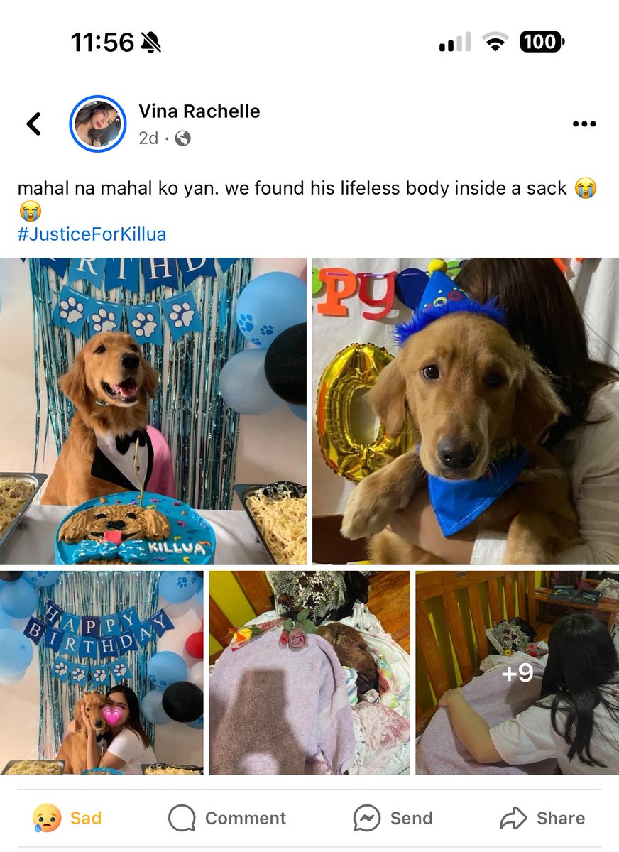 saw this on facebook. this killed me. i’m hurting so much. STOP ANIMAL CRUELTY. #JusticeForKillua