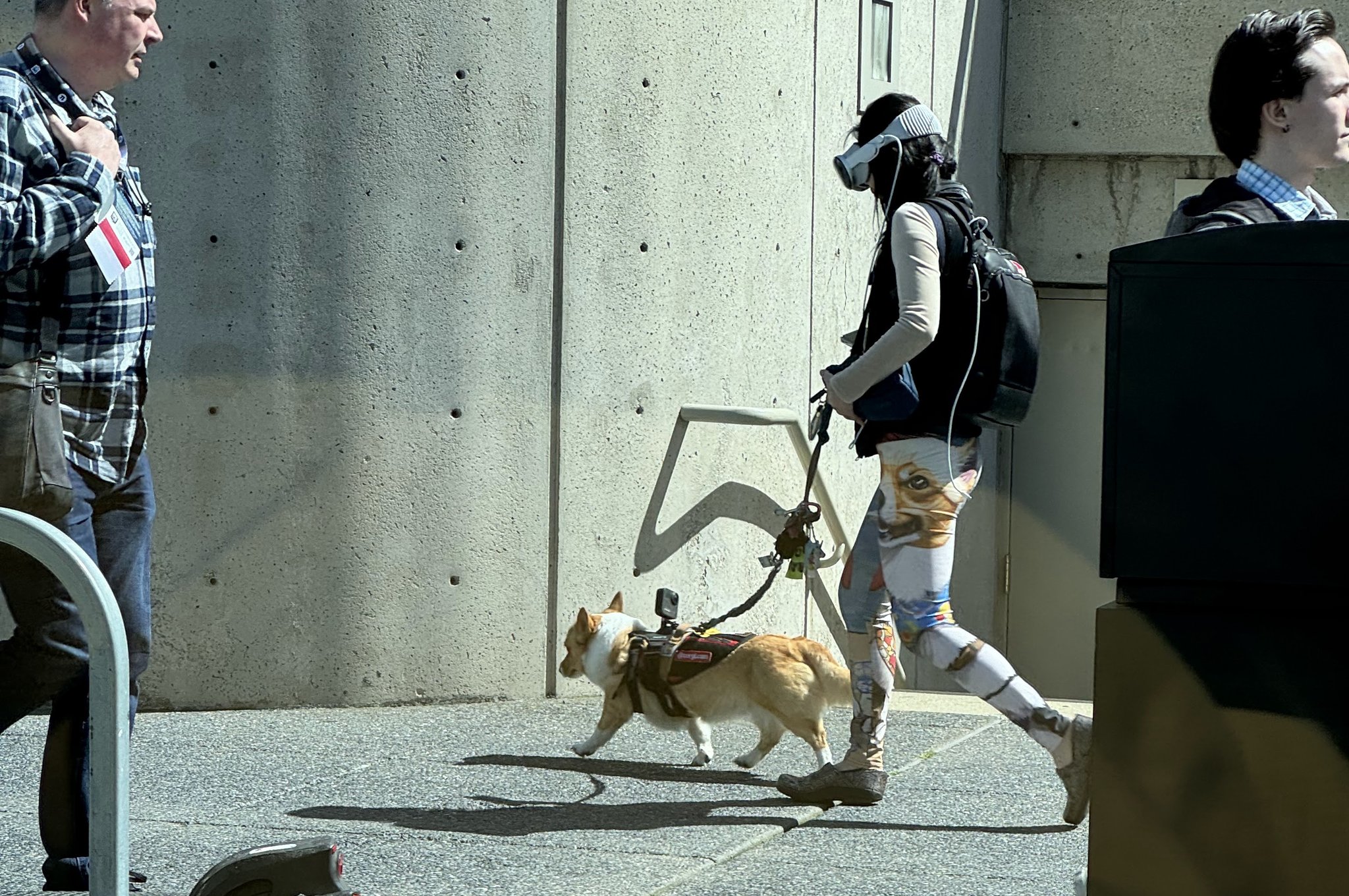 GJAUdAOWQAASEqC?format=jpg&name=large