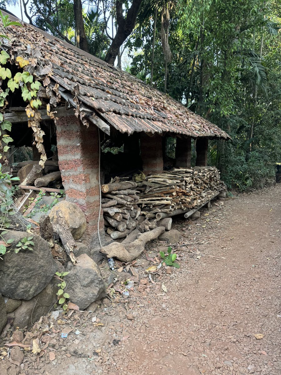 amarbarwe's tweet photo. Firewood or सरपण in Marathi can be seen in majority of the houses in Konkan. Firewood is used as fuel for heating and cooking and has benefits over coal. LPG is available,but interiors of Konkan still rely on firewood. #Konkan #KonkanDiaries #firewood #firewoodstack #asud #dapoli https://t.co/ptLTozZmSx