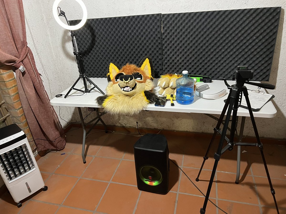DrWolf09's tweet photo. Psic: Entonces que haces de hobby??

Me: Welp!! … me vuelvo yo mismo. #Furry #Furrylife https://t.co/Eieq3DmKBr