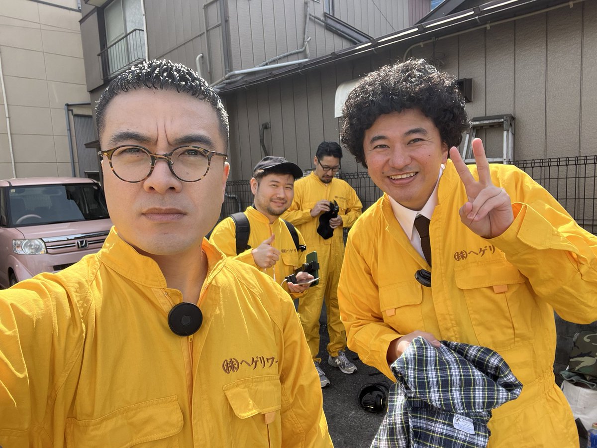 サーガ❗️勤労感謝の日セール❗️グラキリス丸め発根管理中 現地球 BIZARRE GREEN | 光 堂 ✨ 葉の微毛感もいい感じ🌱 bizarre-green.com