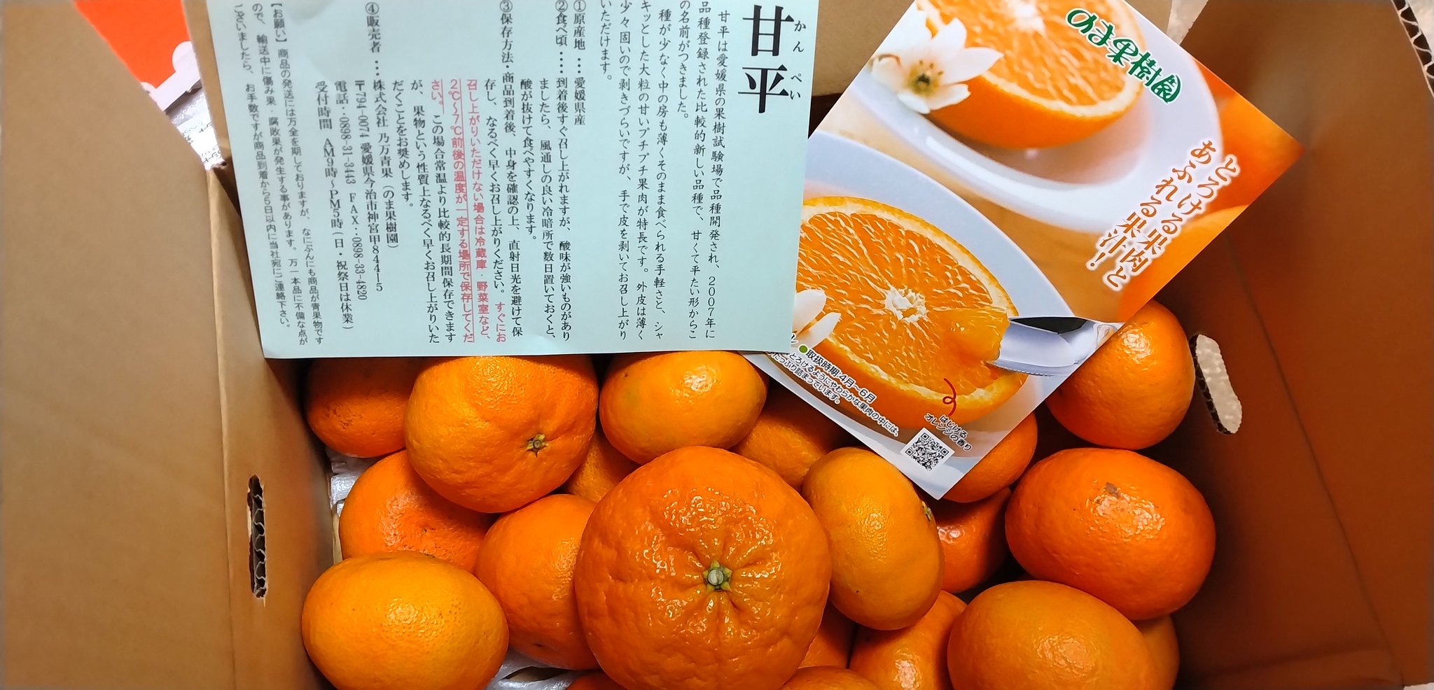 残りわずか‼️きたーー‼️超SP超高糖度万田酵素栽培の甘平‼️6980円2 Angelbean 桑の葉 粒 くわ100% 京都産 無農薬 有機栽培 桑の粒