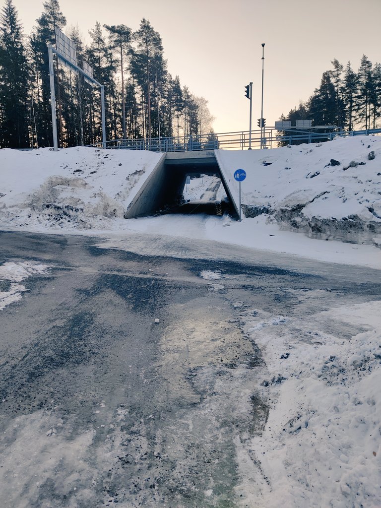 Elina Söderholm tweet media