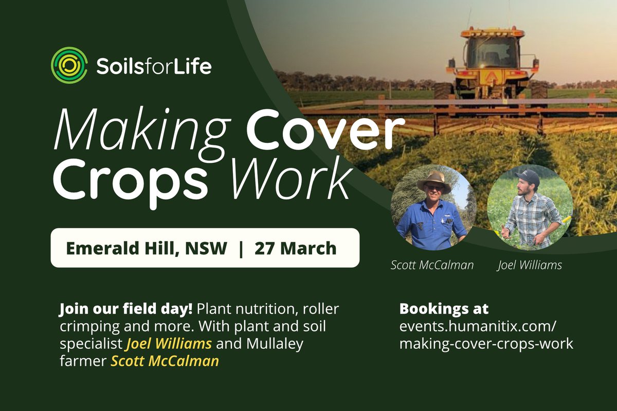 Great looking @SoilsforLife cover cropping field day coming up next Wednesday 27 March 2024 near Gunnedah NSW. To register: events.humanitix.com/making-cover-c… @sqnnswhub
