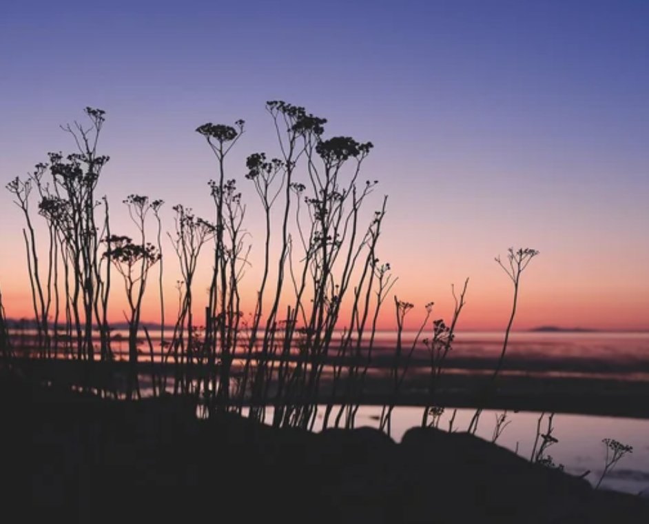 📍Iona Beach, Richmond

Credit: u/ruthlessredbeard

#richmondbc #richmond #richmondmoments #vancouver #vancityfeature