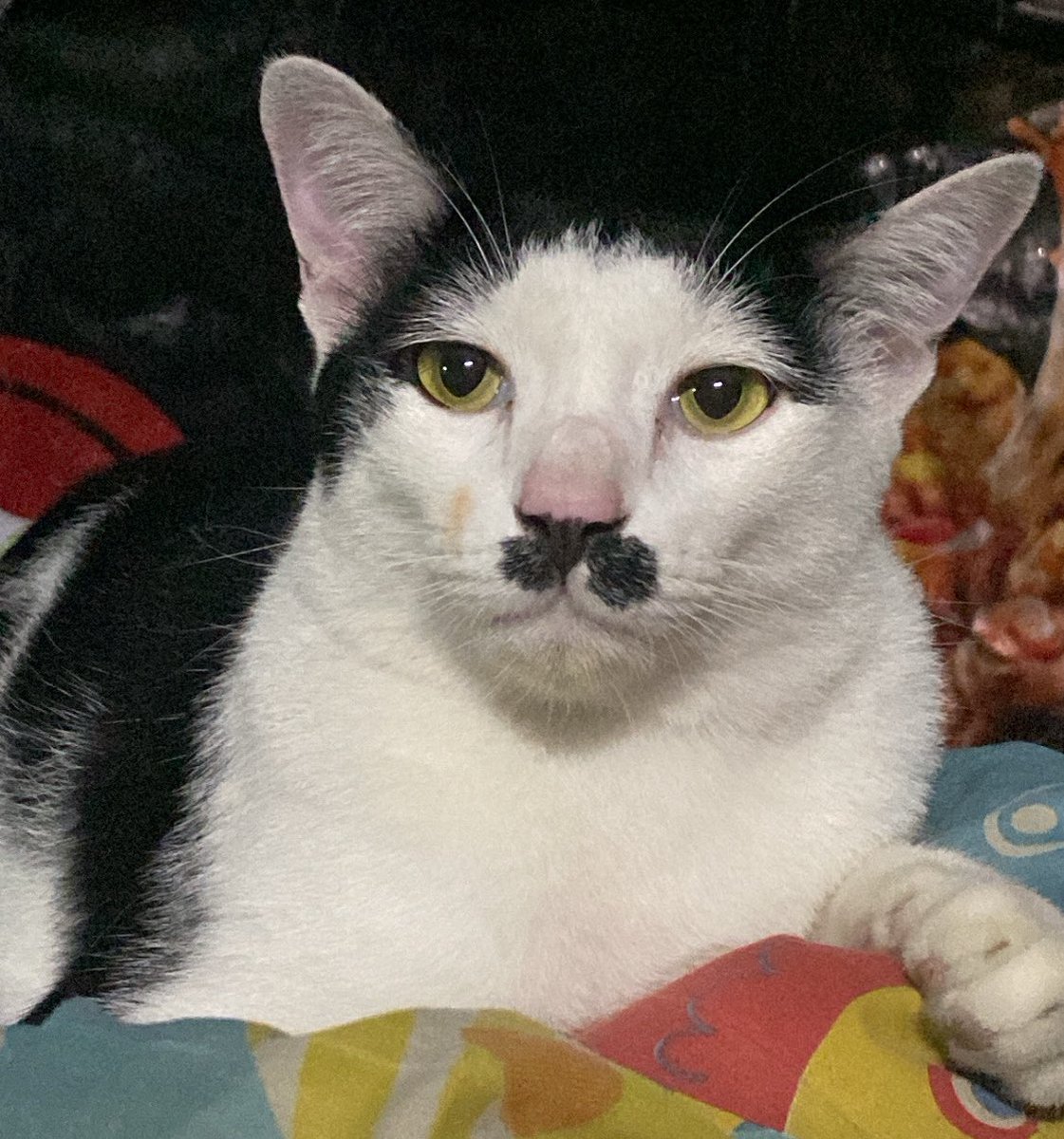 พี่เหว่งตุ๊กสวยไหมคะ       พี่ขับรถอยู่ตุ๊ก